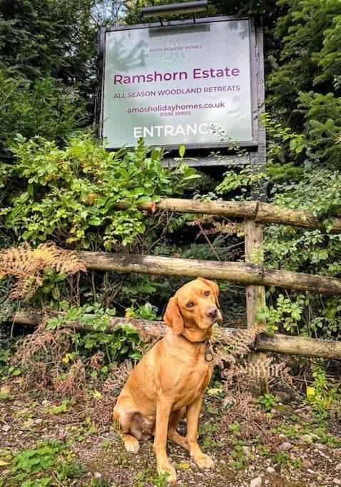 Padley; Woodland Lodge With Hot Tub For 2-4 In The Staffordshire Moorlands Oakamoor Luaran gambar