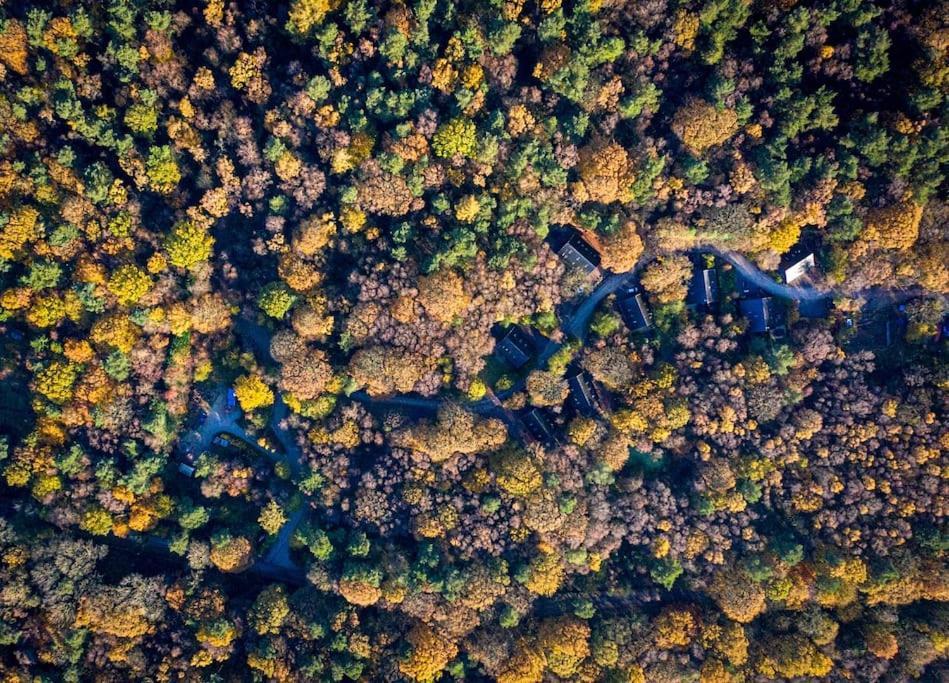 Padley; Woodland Lodge With Hot Tub For 2-4 In The Staffordshire Moorlands Oakamoor Luaran gambar